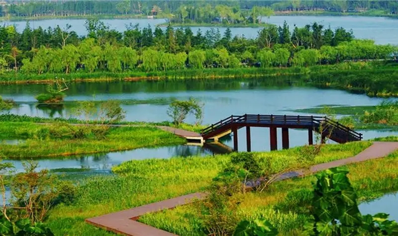 公园景观湖生态修复与湿地构建